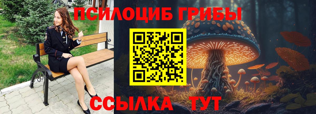 Черняховск  Галлюциногенные грибы прущие грибы  Вход с VPN 