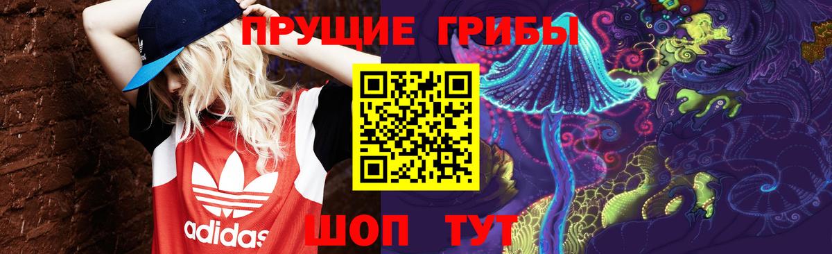 Галлюциногенные грибы ЛСД Черняховск